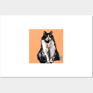 Tuxedo Cat Cute Drawing - on Apricot orange Posters and Art